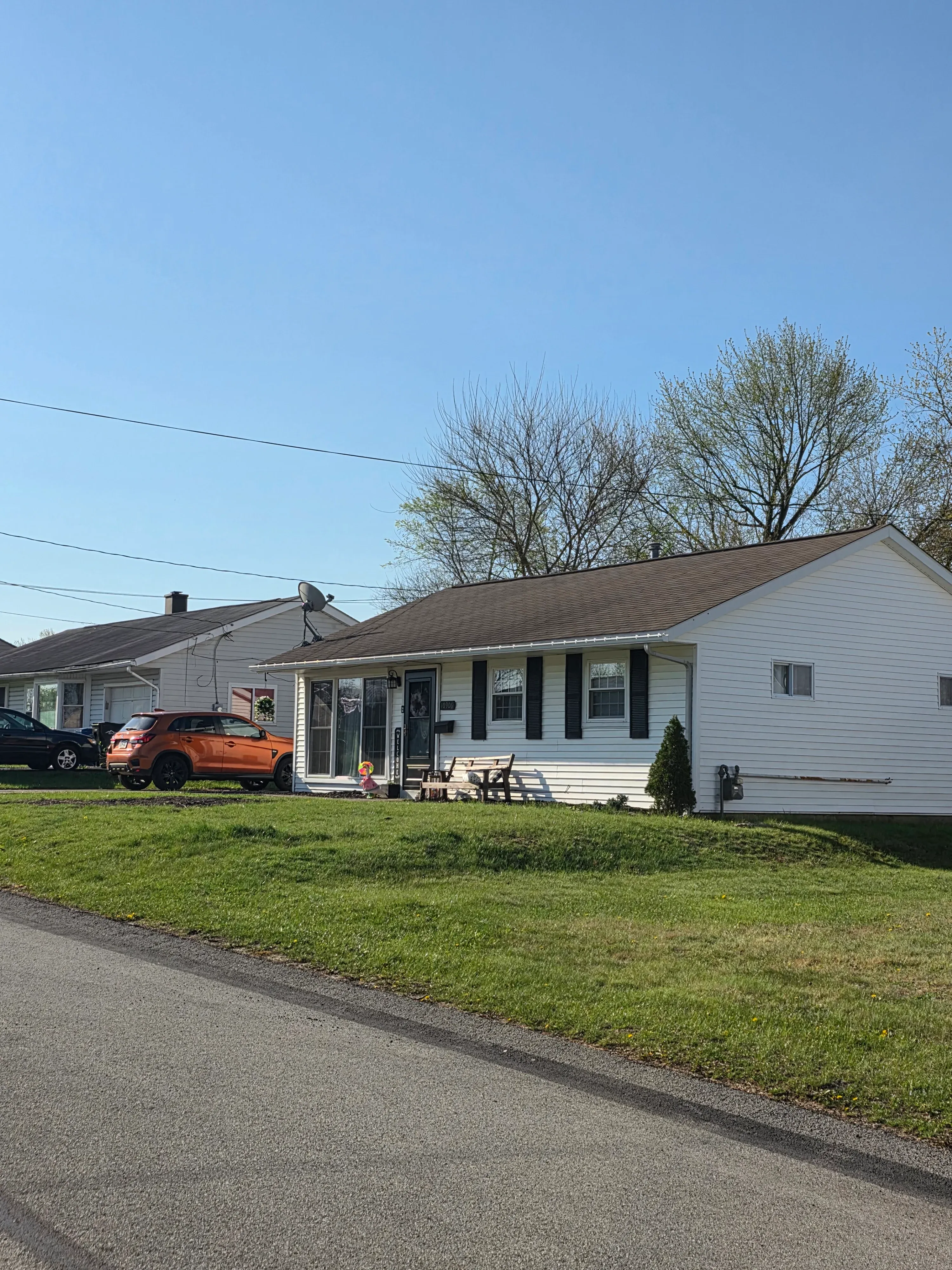 After — Large oak tree removal