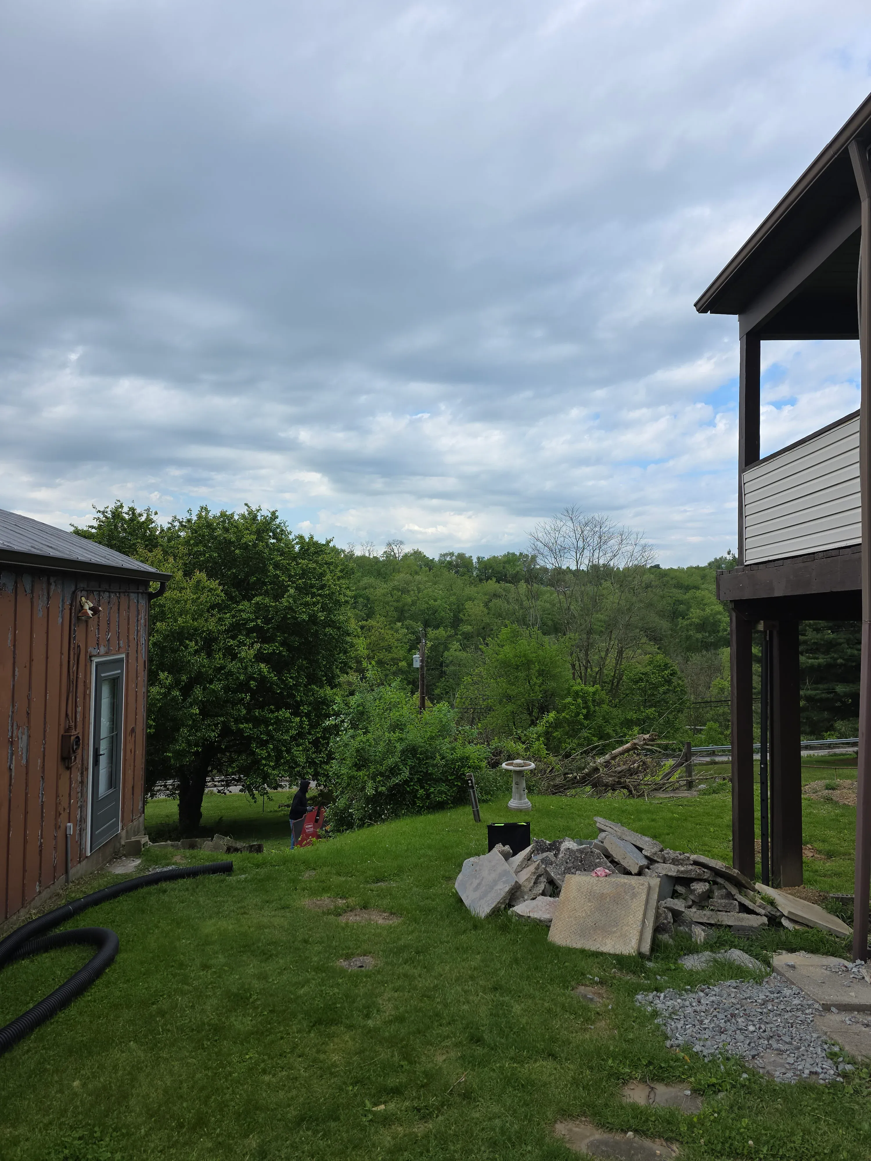 After — Tree removal 